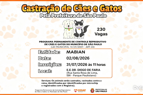 CASTRAÇÃO DE CÃES E GATOS GRATUITO